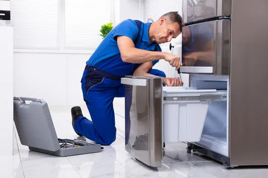 Santee Appliance especialist
